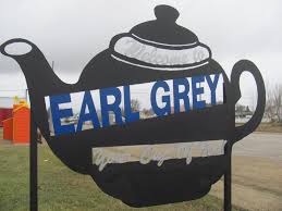 Homes For Sale in Earl Grey